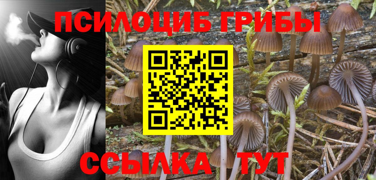Псилоцибиновые грибы ЛСД  Галлюциногенные грибы Cubensis  Вход с VPN  Выборг 